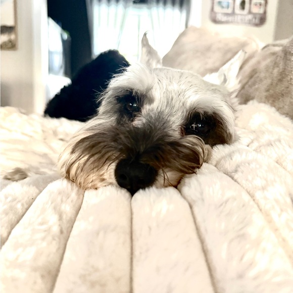 Meet your Posher, Ness - Picture 4 of 5